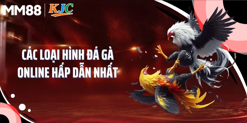 Các loại hình đá gà online hấp dẫn nhất