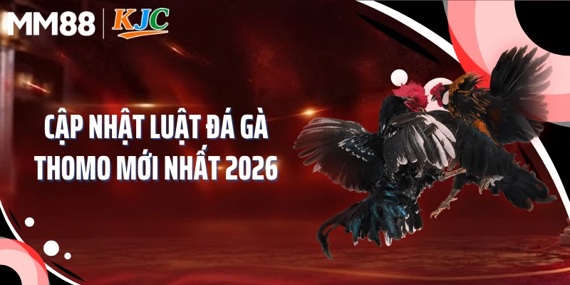 Cập nhật luật đá gà Thomo mới nhất 2026
