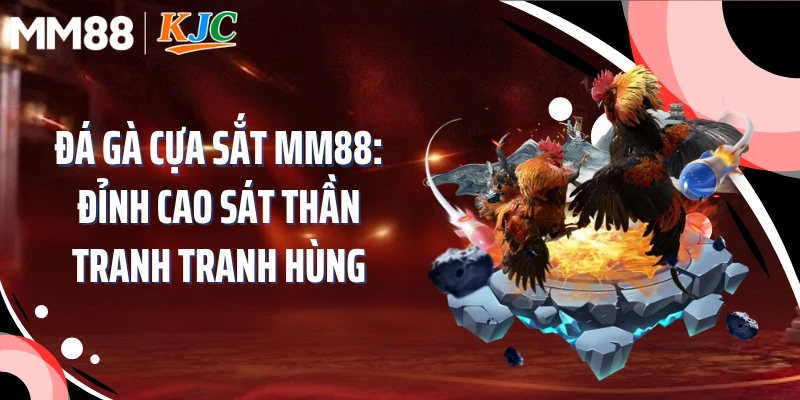 Đá Gà Cựa Sắt MM88: Đỉnh Cao Sát Thần Tranh Tranh Hùng