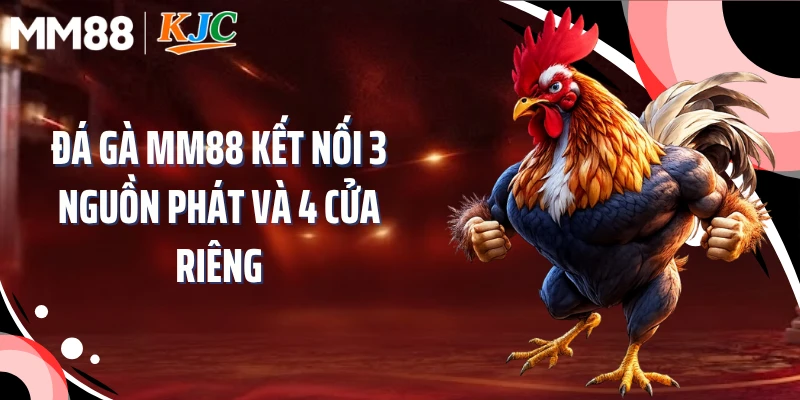 Đá Gà MM88 Kết Nối 3 Nguồn Phát Và 4 Cửa Riêng