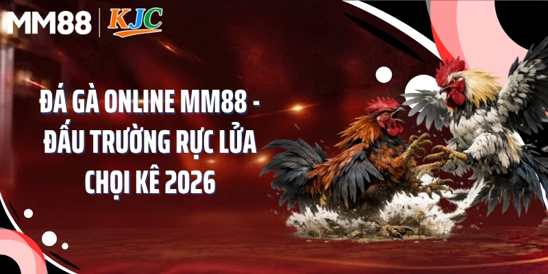 Đá Gà Online MM88 - Đấu Trường Rực Lửa Chọi Kê 2026