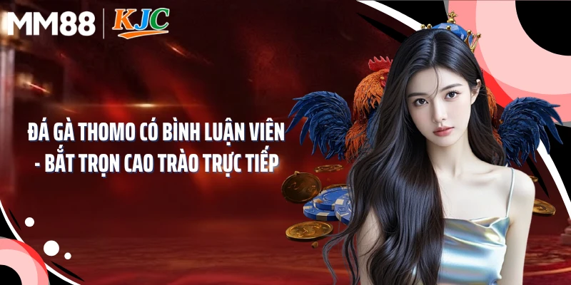 Đá Gà Thomo Có Bình Luận Viên - Bắt Trọn Cao Trào Trực Tiếp