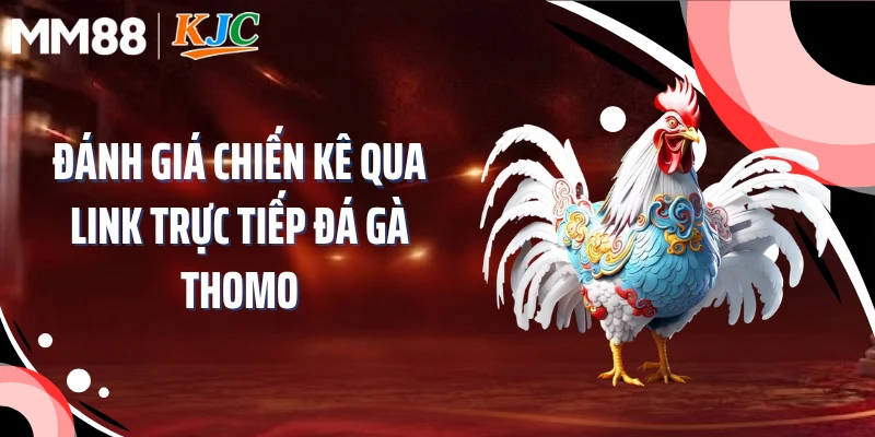 Đánh giá chiến kê qua link trực tiếp đá gà Thomo