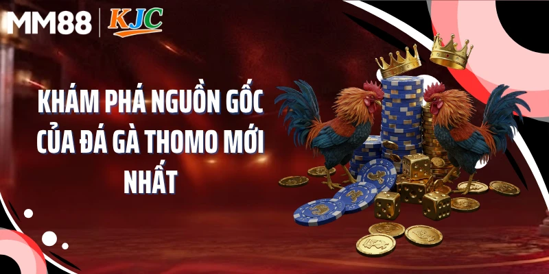 Khám phá nguồn gốc của đá gà Thomo mới nhất