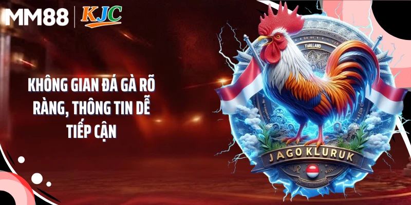 Không gian đá gà rõ ràng, thông tin dễ tiếp cận
