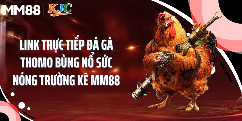Link Trực Tiếp Đá Gà Thomo Bùng Nổ Sức Nóng Trường Kê MM88