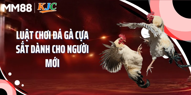 Luật chơi đá gà cựa sắt dành cho người mới