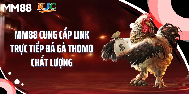 MM88 cung cấp link trực tiếp đá gà Thomo chất lượng