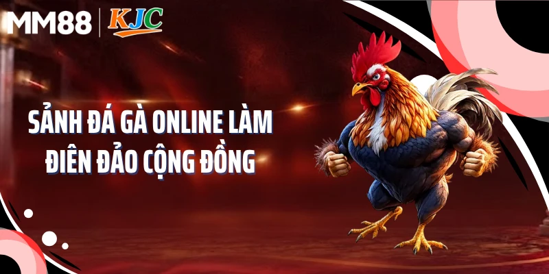 Sảnh đá gà online làm điên đảo cộng đồng