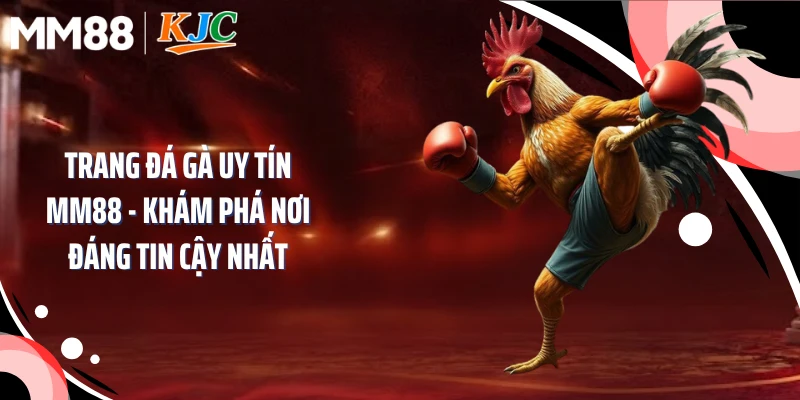 Trang Đá Gà Uy Tín MM88 - Khám Phá Nơi Đáng Tin Cậy Nhất